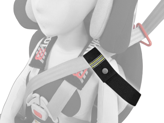 Accessories Carrot 3000