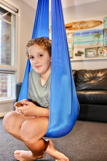 Snug As A Bug Therapy Swing - Your Capability Store