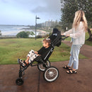Multiroller Stroller - Your Capability Store