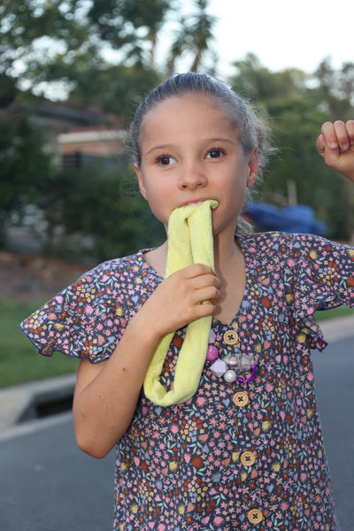 Absorbent Chews - 6 Pack - Your Capability Store