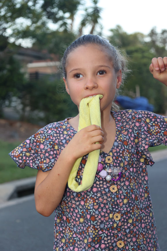 Absorbent Chews - 6 Pack - Your Capability Store