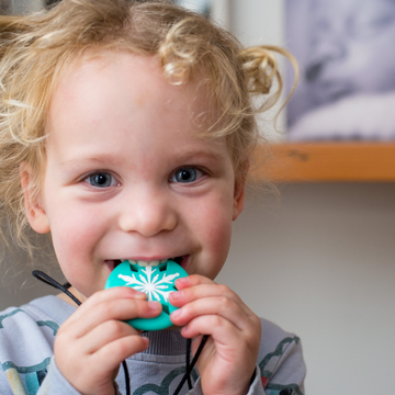 Snowflake Pendant - Your Capability Store