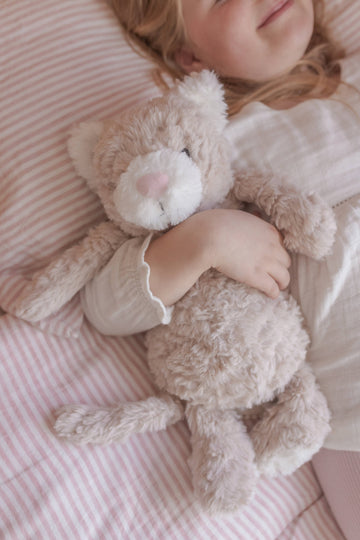 Pickles The Weighted Cat - Your Capability Store