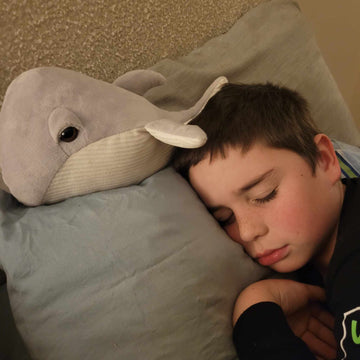 Oscar The Whale - Your Capability Store