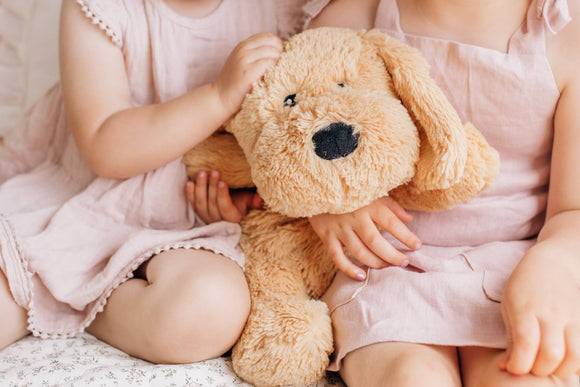 Charlie The Weighted Puppy Dog Toy - Your Capability Store