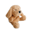 Charlie The Weighted Puppy Dog Toy - Your Capability Store