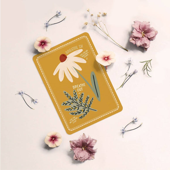 Calm Down Cards – Tools to Support Emotional Regulation - Your Capability Store