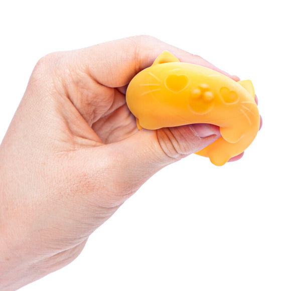 Cool Cats Teenie NeeDoh - Your Capability Store