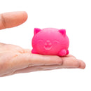 Cool Cats Teenie NeeDoh - Your Capability Store