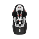 Carrot 3000 Car Seat - Your Capability Store