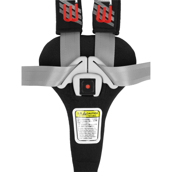 Carrot 3000 Car Seat - Your Capability Store