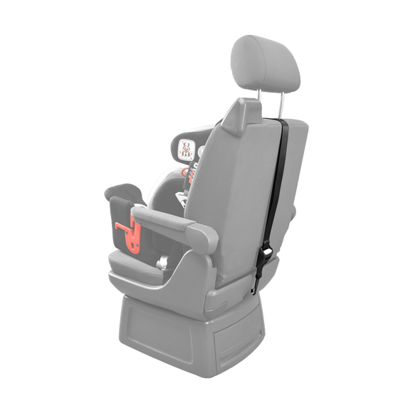 Accessories Carrot XL - Your Capability Store