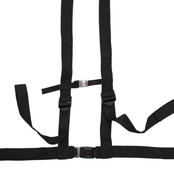 Accessories Carrot XL - Your Capability Store