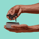 Speks - Crags Magnetic Putty - Assorted Gradient Case Pack - Your Capability Store