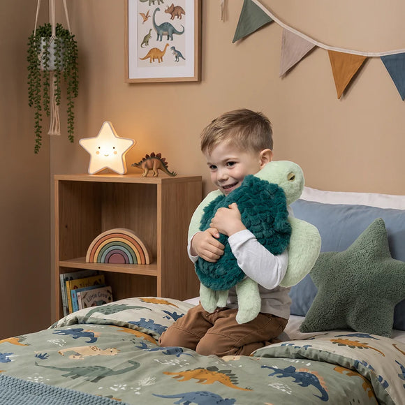 Mini & Me Weighted Turtle