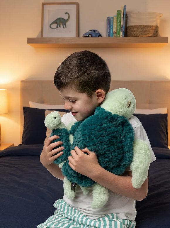 Mini & Me Weighted Turtle
