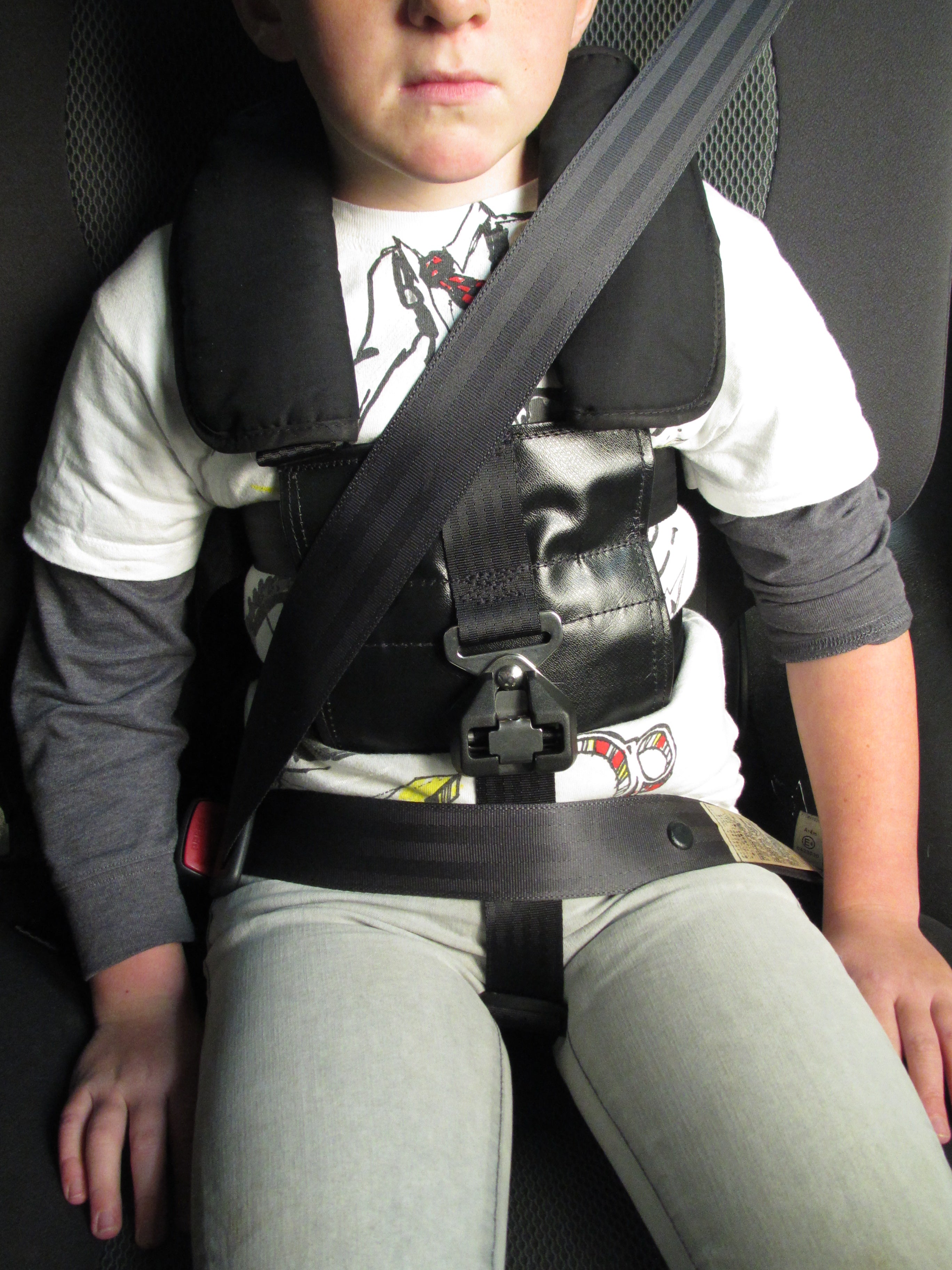 Challenging Behaviour Houdini Car Seat Harness Model 32