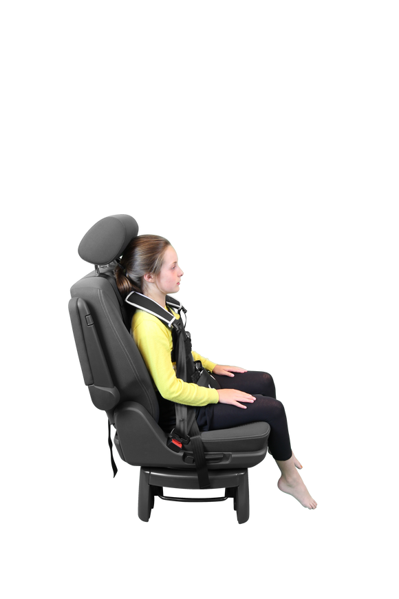 Houdini 31 Harness - Your Capability Store