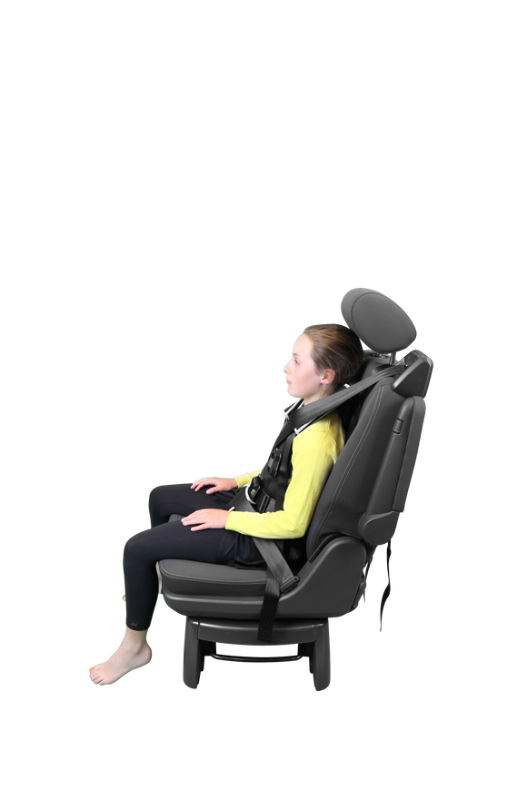 Houdini 31 Harness - Your Capability Store