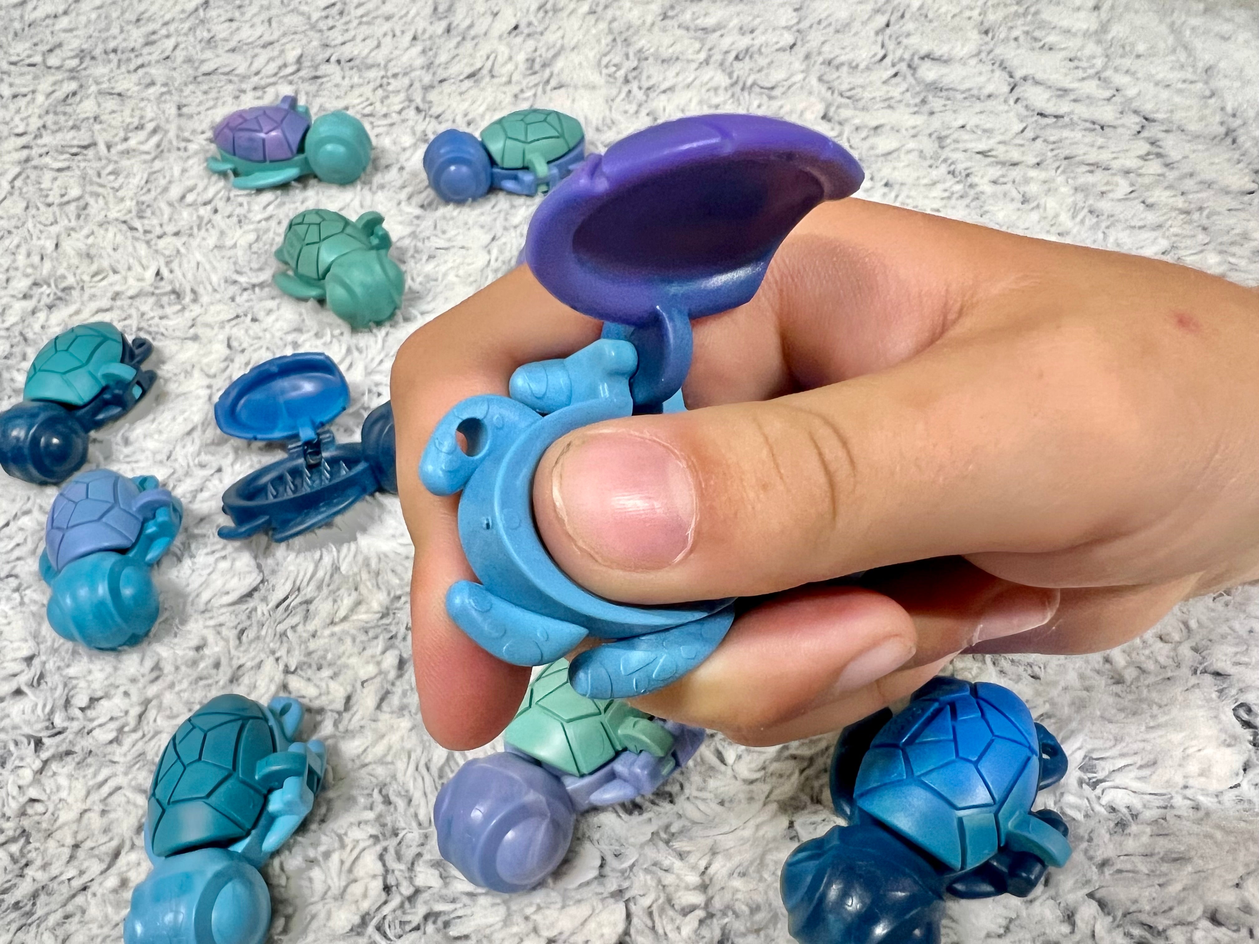 Calm Buddi Turtle - Your Capability Store