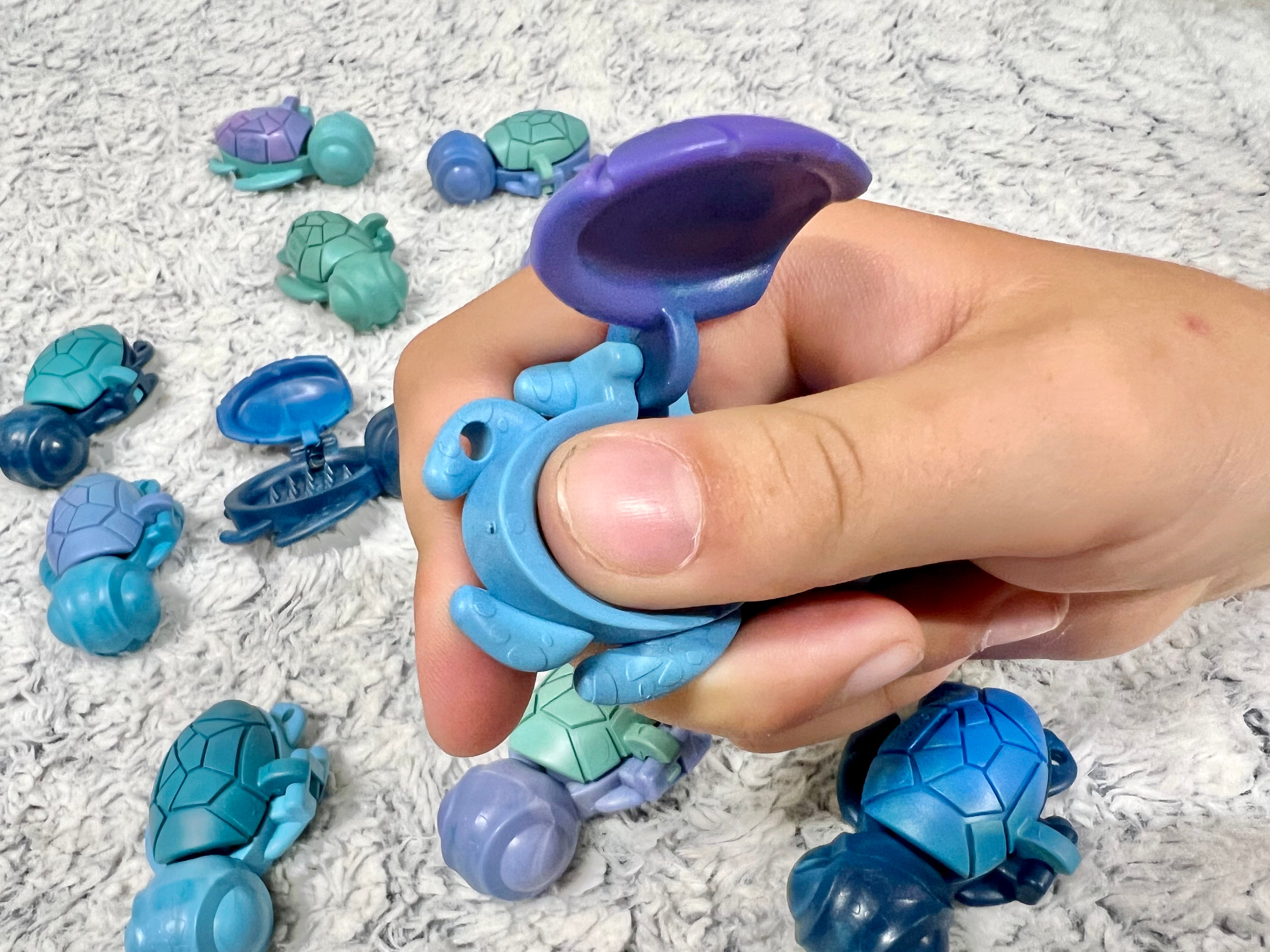 Calm Buddi Turtle - Your Capability Store