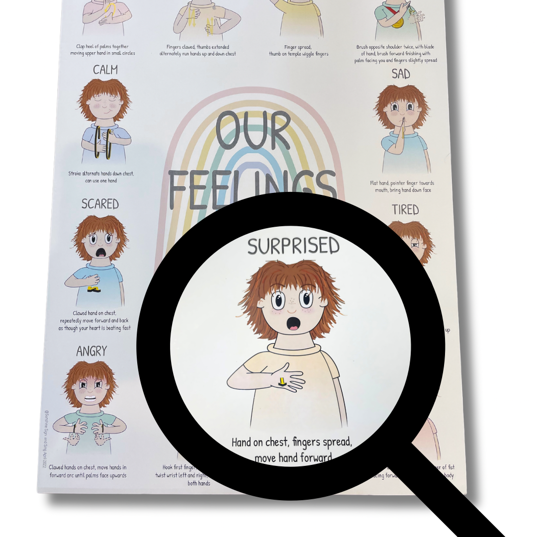 Our Feelings Key Word Signs Poster A3 | Your Capability Store