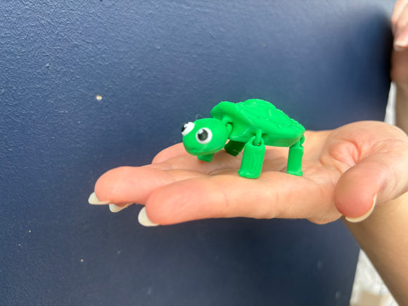 Wobbly The Tiny Turtle - Your Capability Store