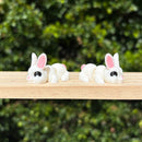 Mini Rabbit - Your Capability Store