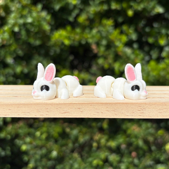Mini Rabbit - Your Capability Store