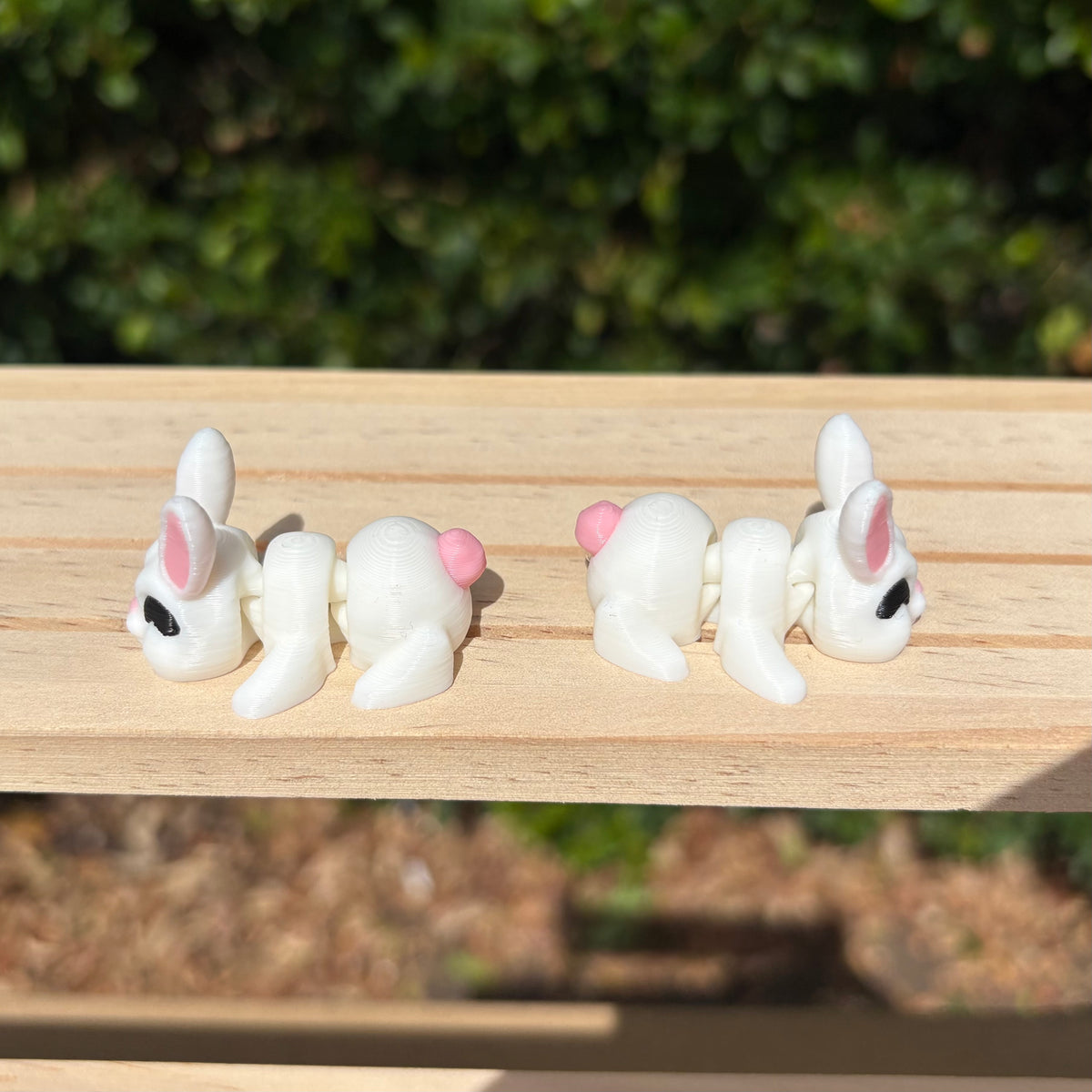 Mini Rabbit | Your Capability Store