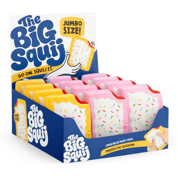 Jumbo Squishy Poptart
