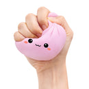 Lucky Bao Mystery Dumpling Squish (Large - 10cm) - Your Capability Store