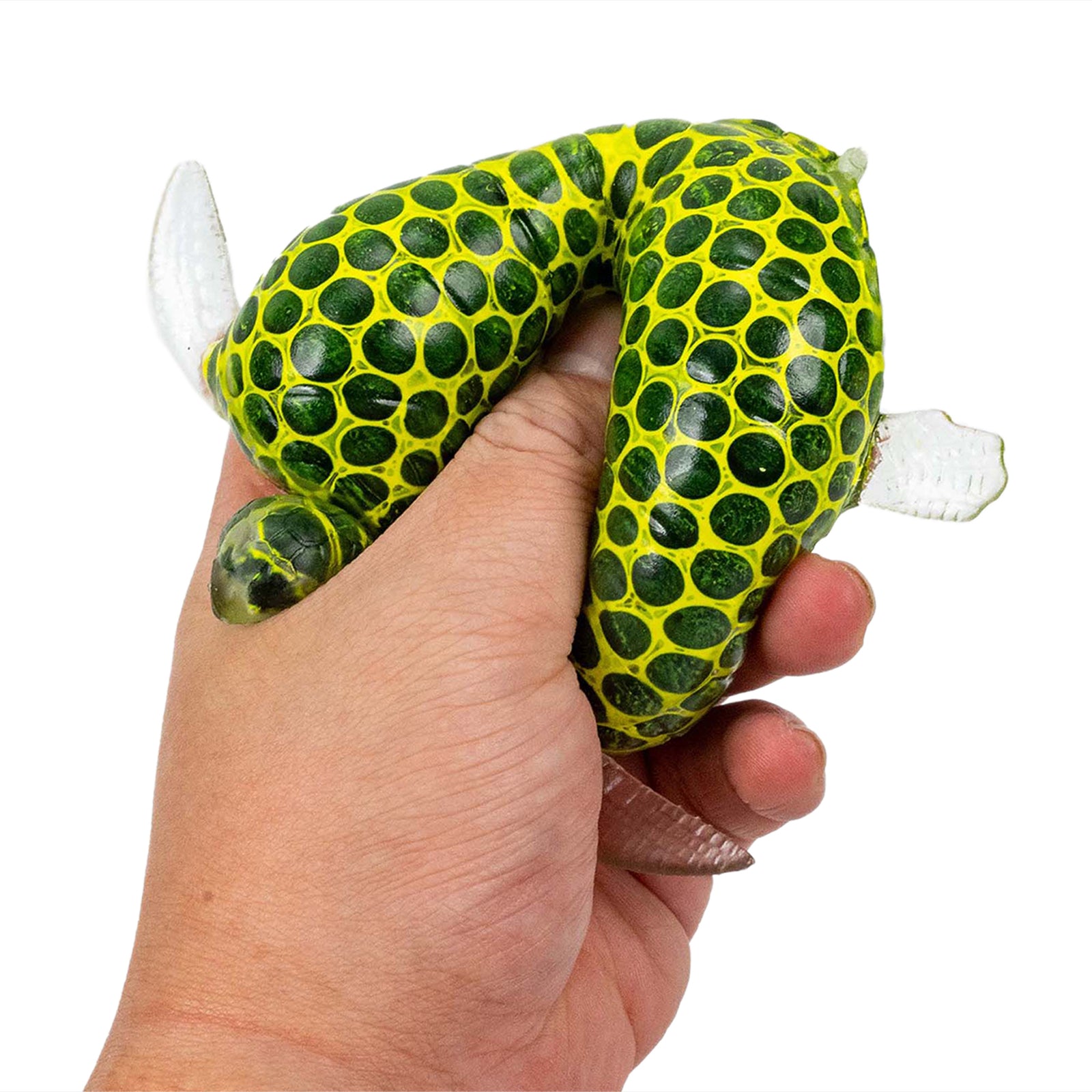Beadz Alive | Turtle