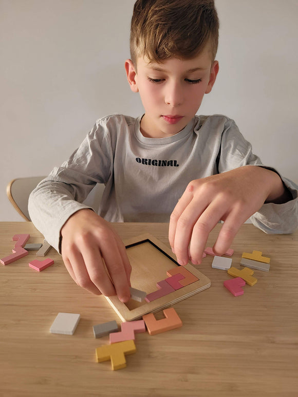 Wooden Hexagon & Pentomino Brainteaser Puzzle - Your Capability Store