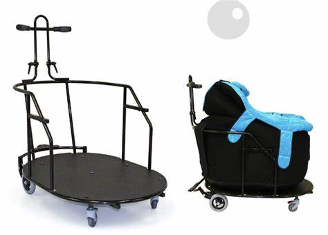 P-Pod Postural Support System