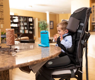 Out & About Seat - Your Capability Store