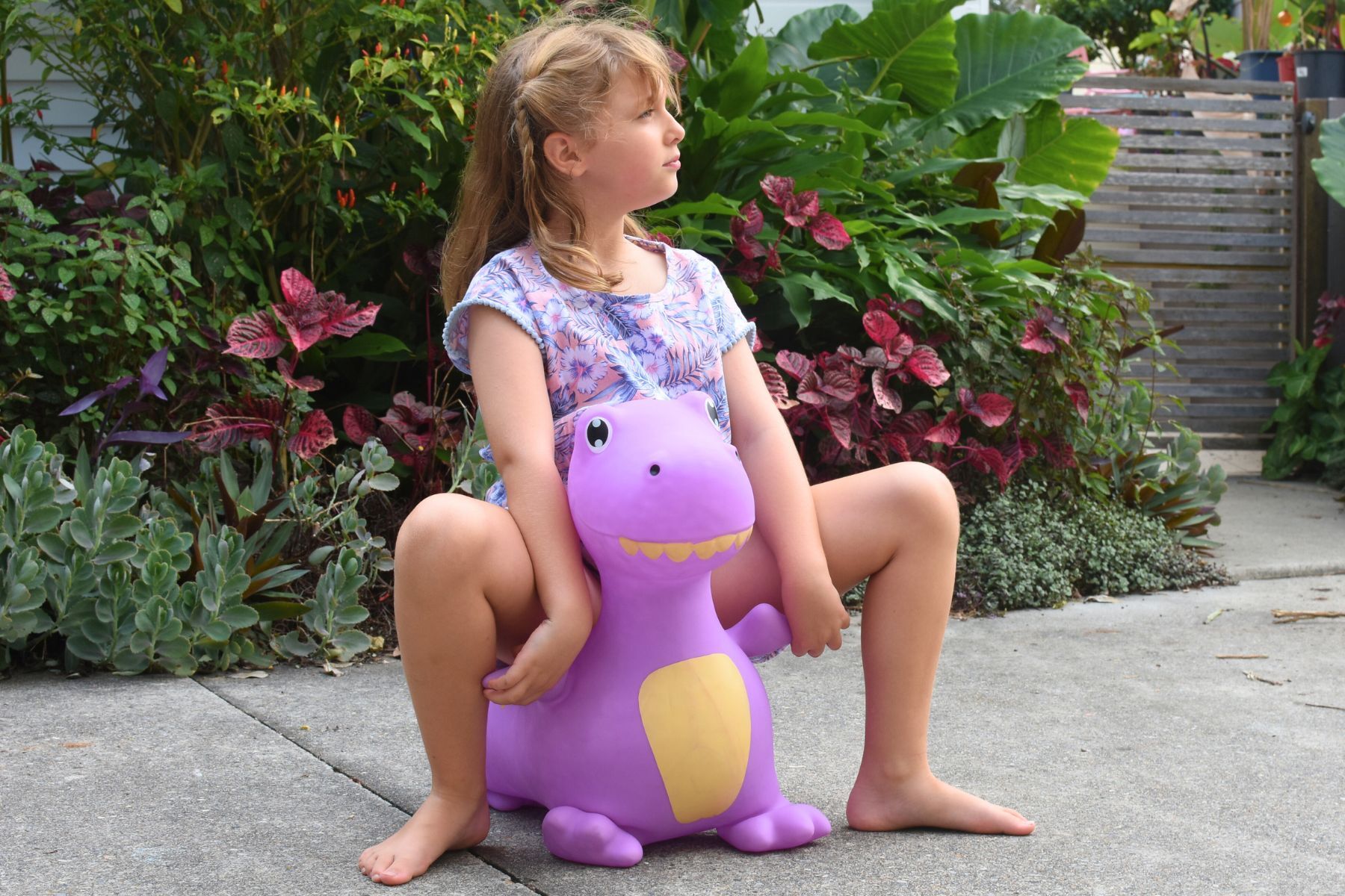 Bouncy Rider Periwinkle the T-Rex - Your Capability Store
