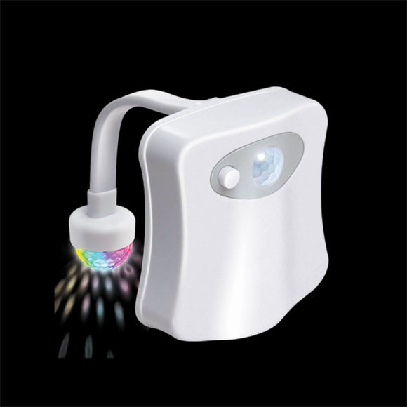 LED Toilet Light