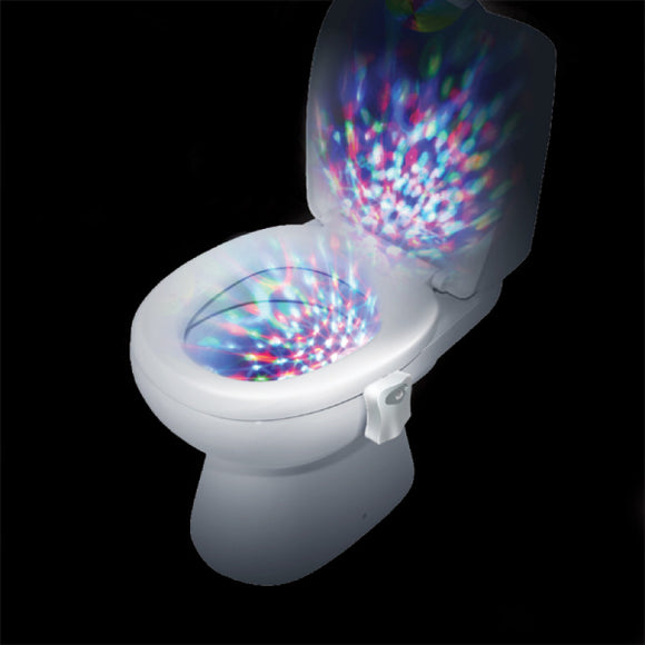 LED Toilet Light