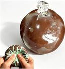 Wax Cracking Squishy 🍫✨-1