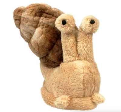 5 Speckled Frogs Auslan Song Card and Puppet Set - Your Capability Store