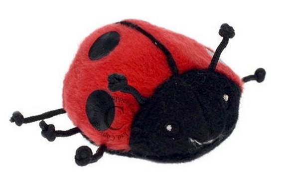 5 Speckled Frogs Auslan Song Card and Puppet Set - Your Capability Store