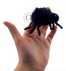 5 Speckled Frogs Auslan Song Card and Puppet Set - Your Capability Store