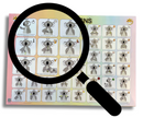 Key Word Signing Core Words Poster - A2 - Your Capability Store