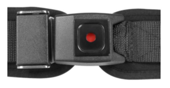 Bingo 5-Point Harness - Your Capability Store