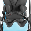 Spex 2-Point Hip Belt - Your Capability Store