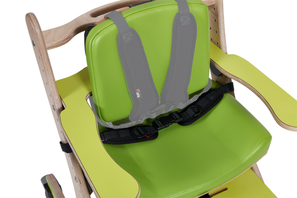 Spex 2-Point Hip Belt - Your Capability Store