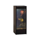 Jellyfish Background Set - Light Shade + Backdrops - Your Capability Store