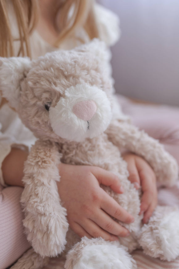 Pickles The Weighted Cat - Your Capability Store