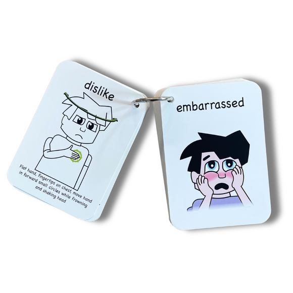 Feelings Key Word Signs Flash Cards A7 - Your Capability Store